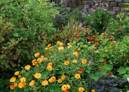 MTP Neighbours Open Day – Saturday 29th