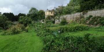 Green fingers needed!!!