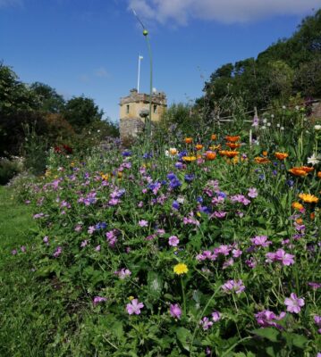 Garden Open Day II – Sunday August 4th